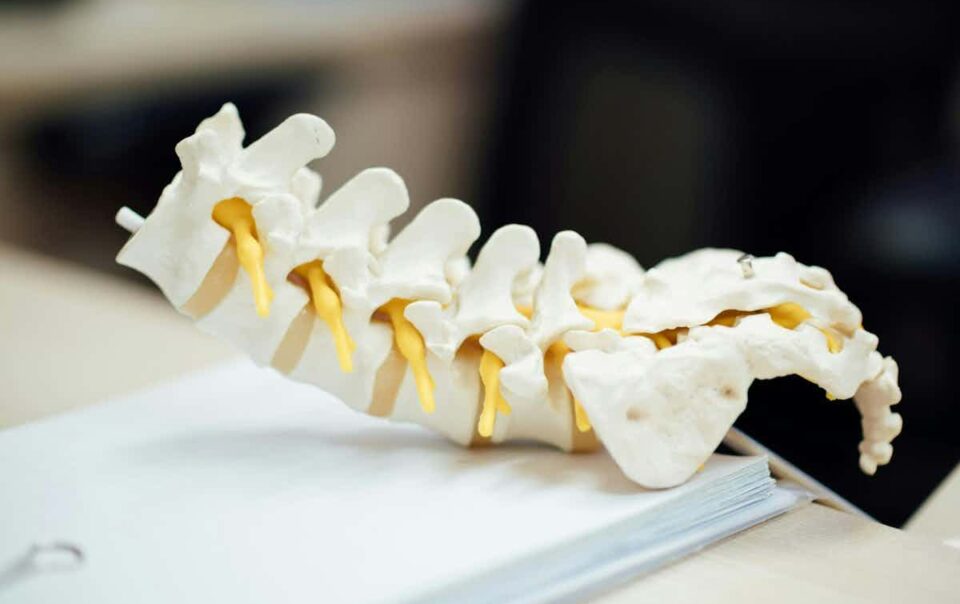 Spinal Injury Attorney